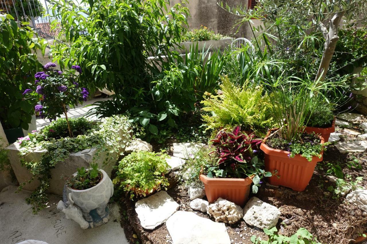 Apartman Maja โบล ภายนอก รูปภาพ